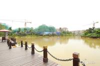 九龙湖实景图图片