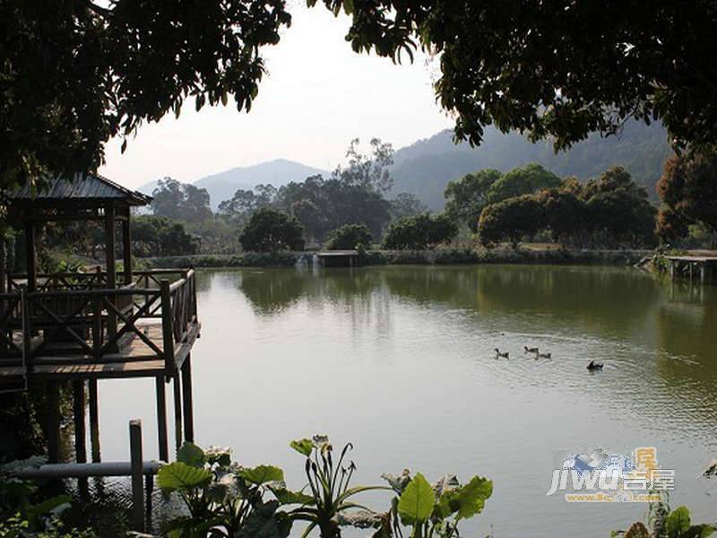 山水豪廷实景图图片