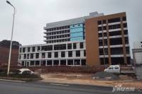 新春蕾粮油市场实景图图片