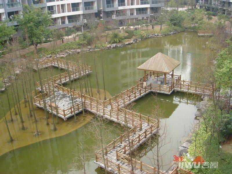 碧园印象桂林实景图图片