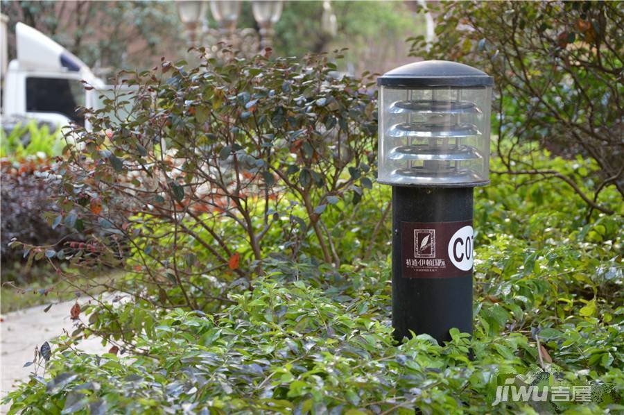 精通伊顿国际实景图图片