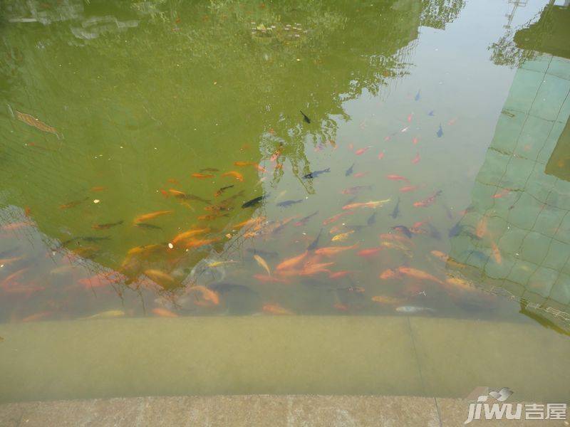 桂林奥林匹克花园实景图图片