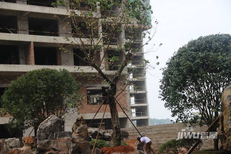 华鼎雍王府实景图图片