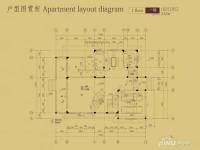 漓江奥林苑1室2厅2卫243㎡户型图