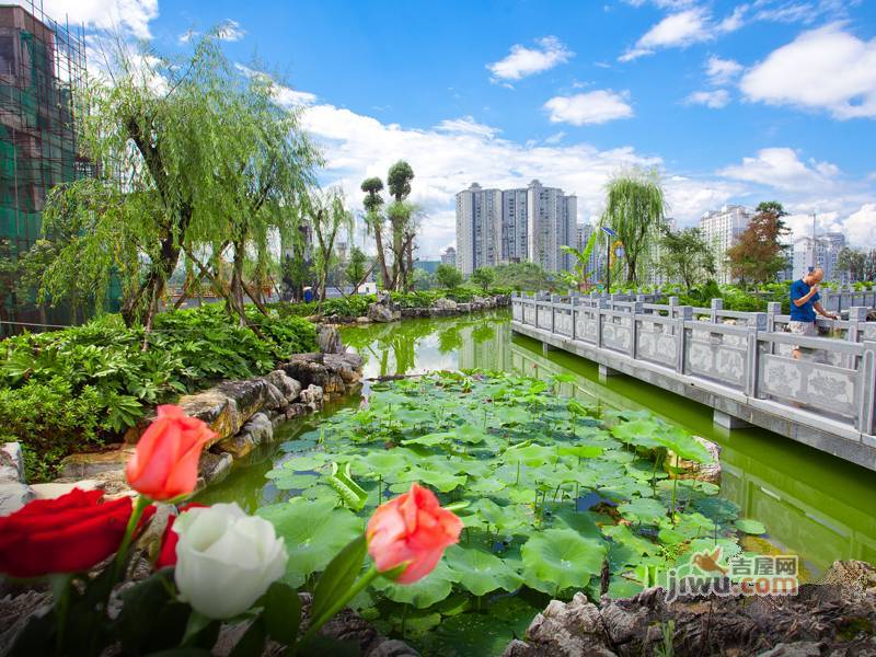 格兰十二号大院实景图图片