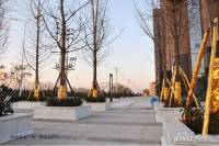 荣域城市广场实景图图片