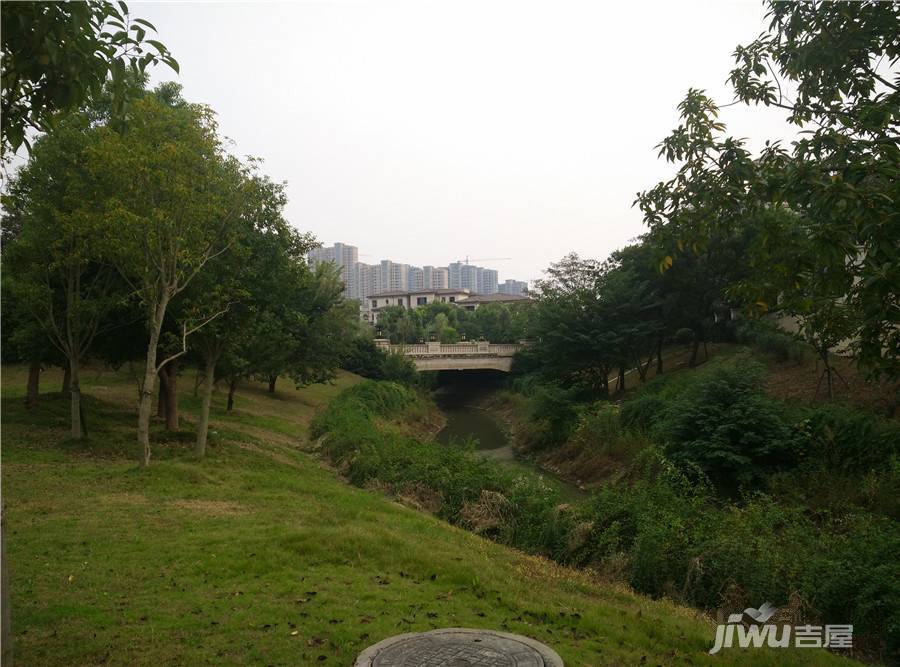 绿地乔治庄园别墅实景图图片