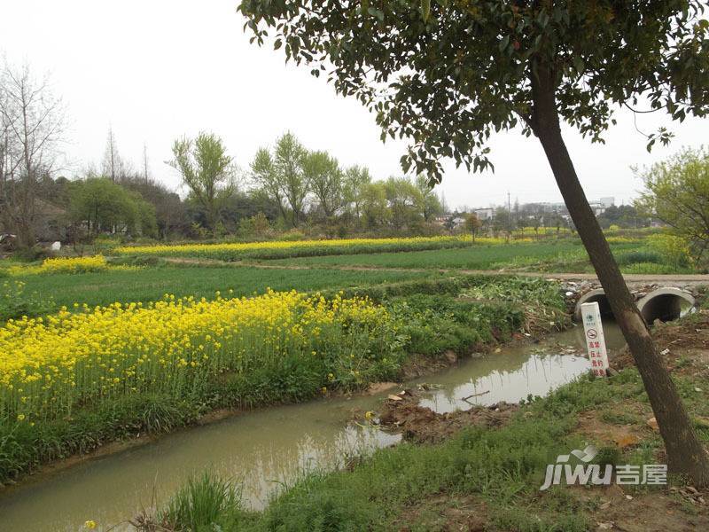 和兴世纪花都实景图80