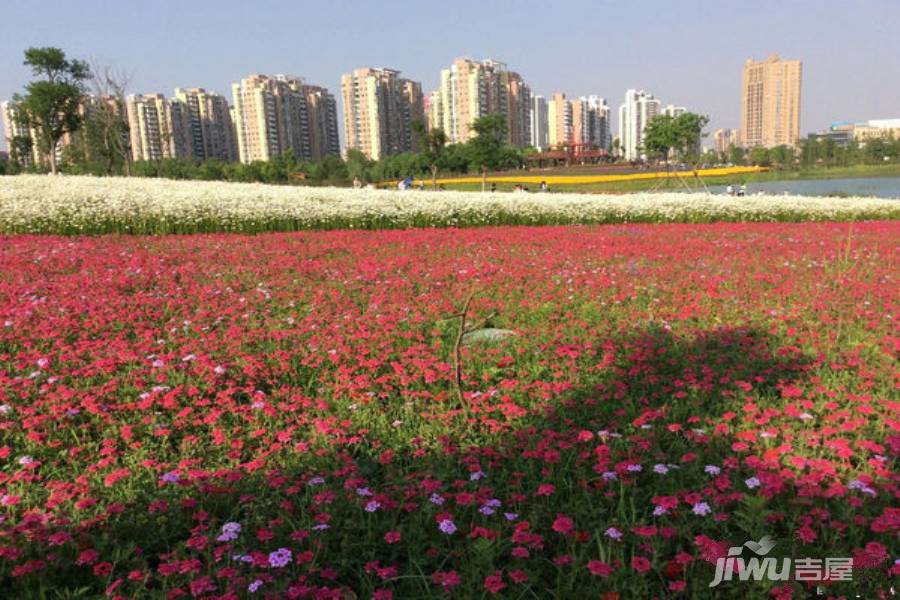 砂之船(合肥)奥特莱斯艺术商业广场位置交通图图片