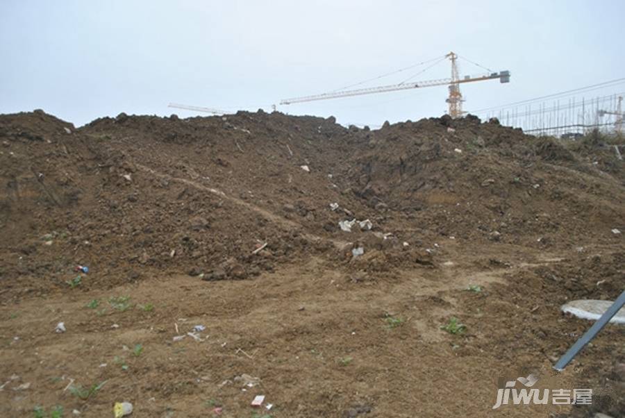 城建琥珀庄园实景图图片