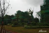 悦湖山院实景图图片