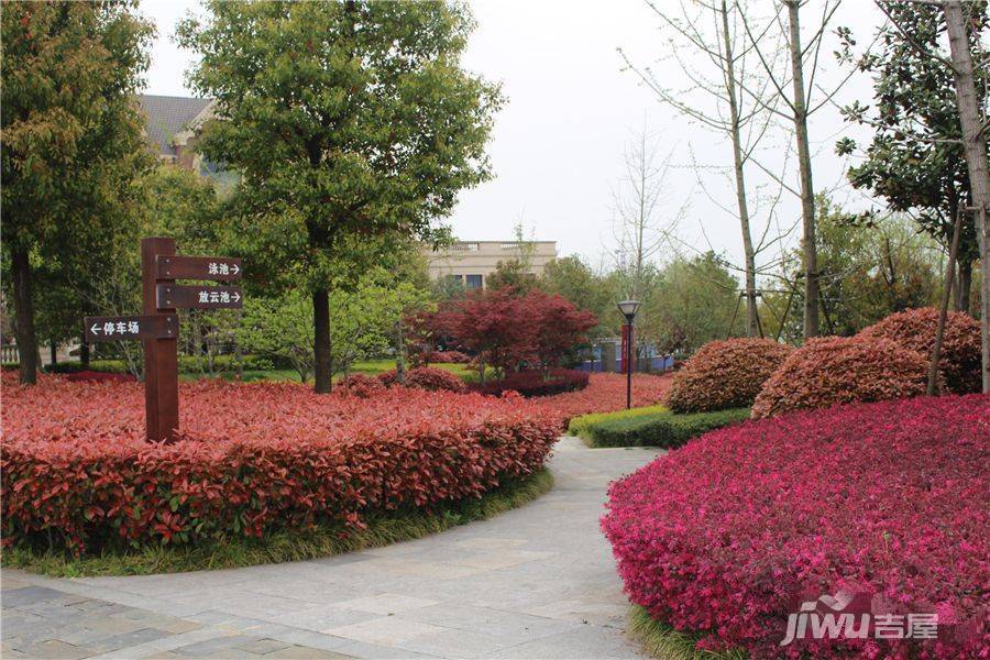 鹭山湖实景图图片