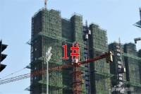 中国铁建·国际公馆实景图图片