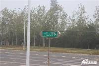 禹洲平湖秋月位置交通图图片