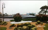 碧桂园十里金滩实景图图片
