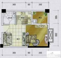 百协大溪地1室1厅1卫43㎡户型图