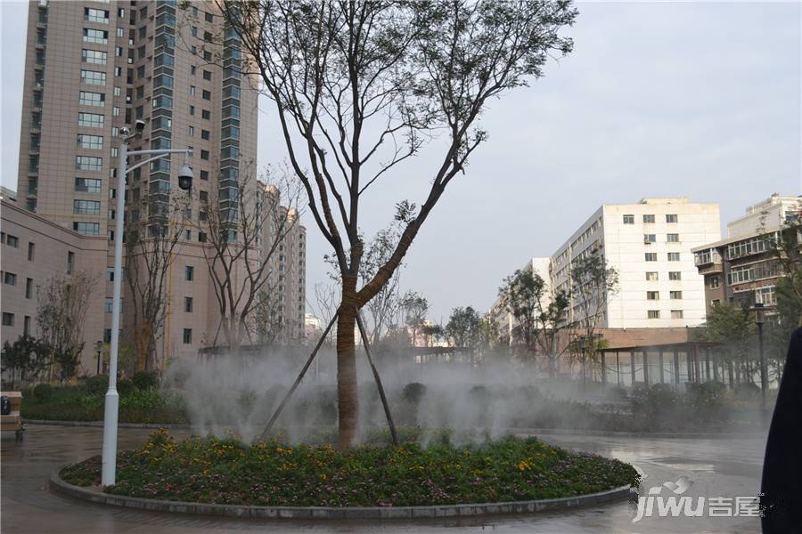 亚太城市月光实景图21