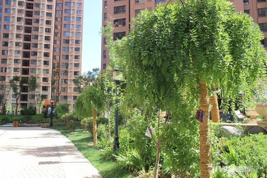天昱凤凰城二期实景图图片
