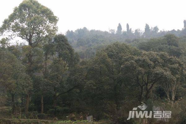 龙凤吉祥山庄实景图图片