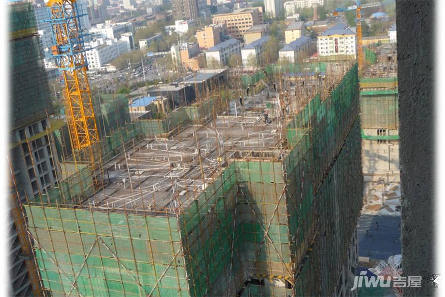 林荫大院实景图图片