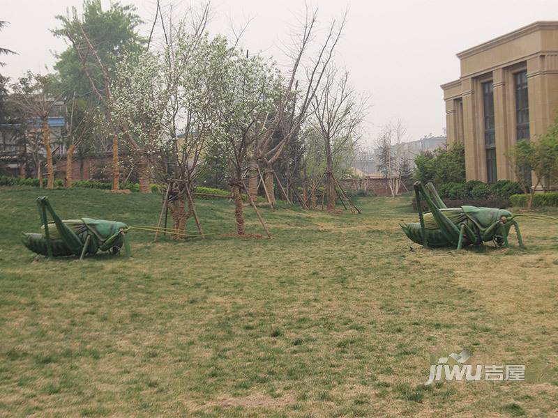 林荫大院实景图图片