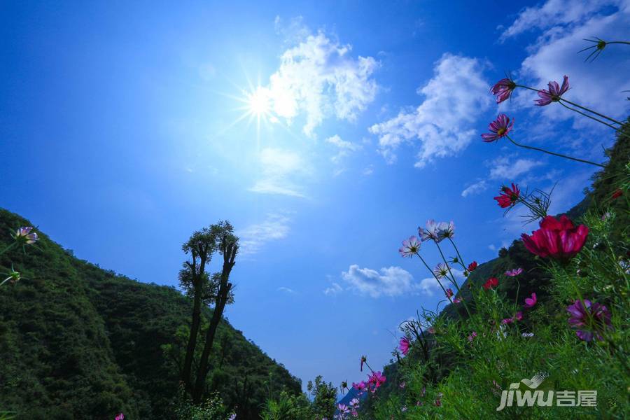 漫山花溪谷配套图图片