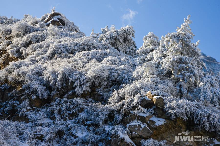 漫山花溪谷配套图图片