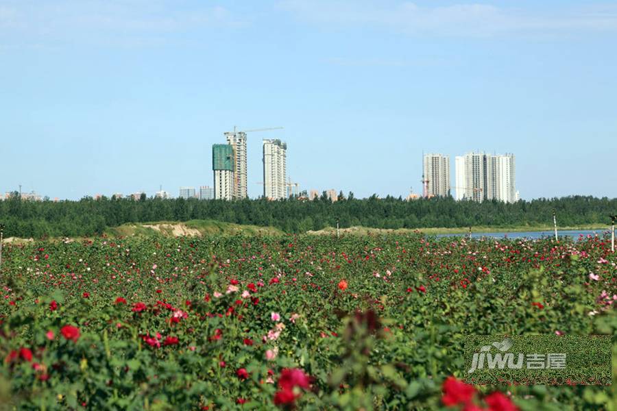 达世地产壹江城配套图图片