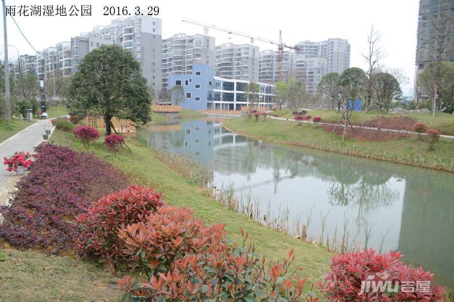 雨花湖湿地公园实景图图片