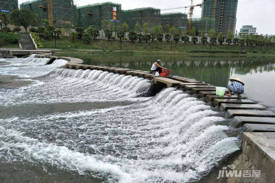 碧桂园滨江1号位置交通图图片