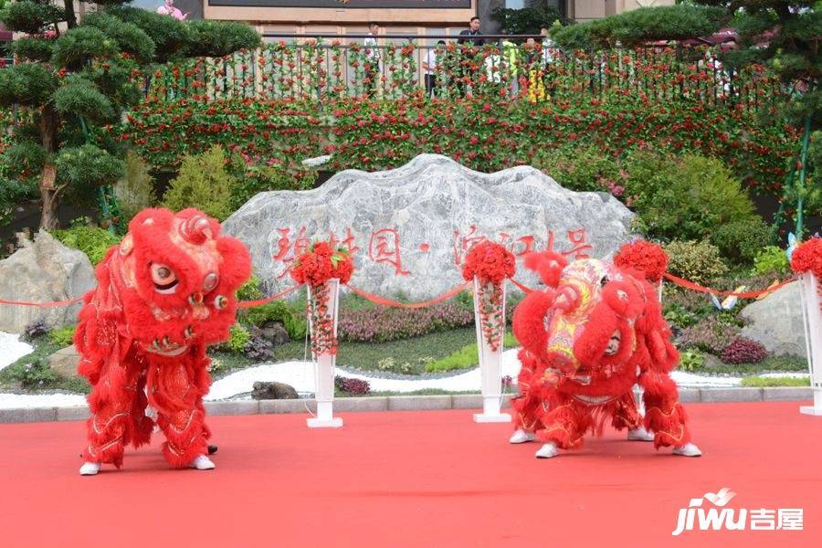 碧桂园滨江1号实景图图片