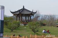 雨花湖湿地公园实景图图片