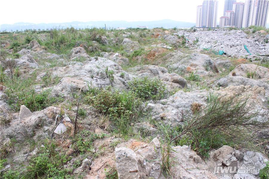 城建水墨兰庭实景图图片