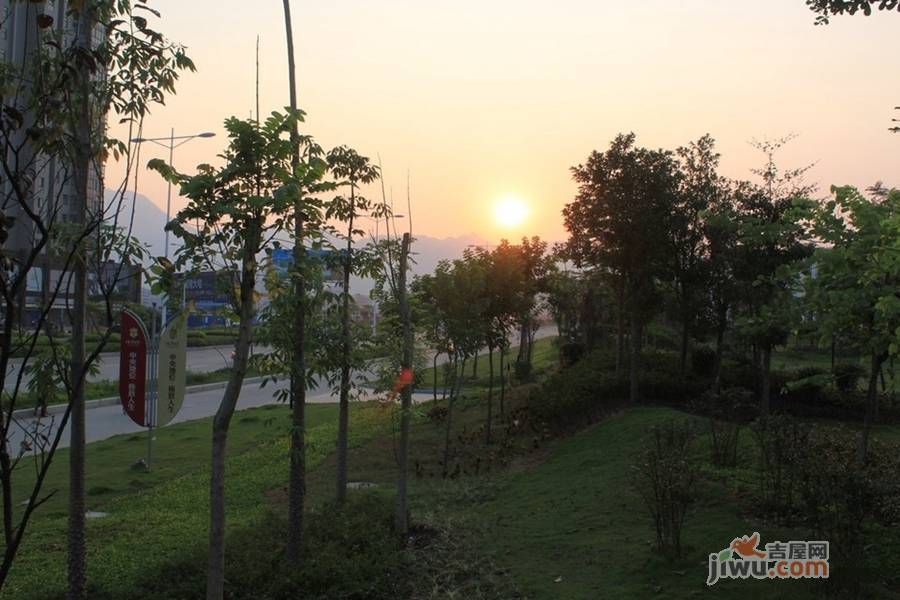 海天水岸阳光实景图图片