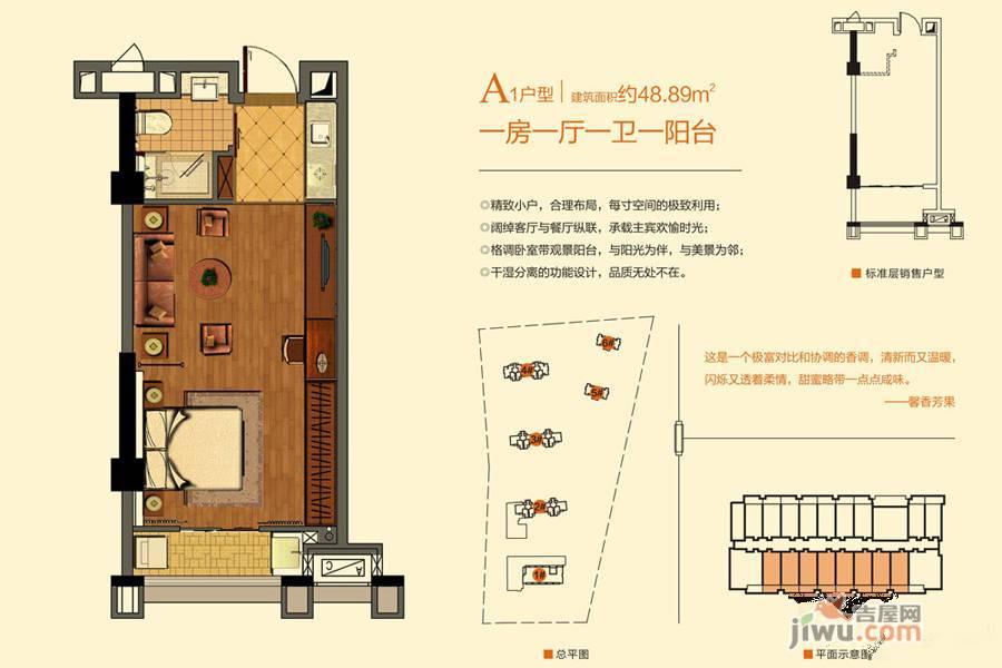 东湖臻悦1室1厅1卫48.9㎡户型图