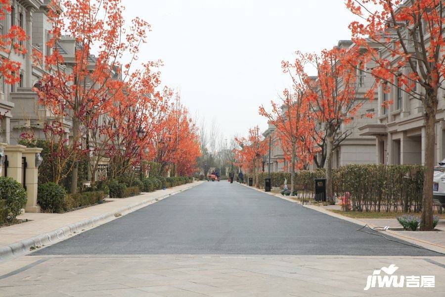 阳光城花满墅实景图图片