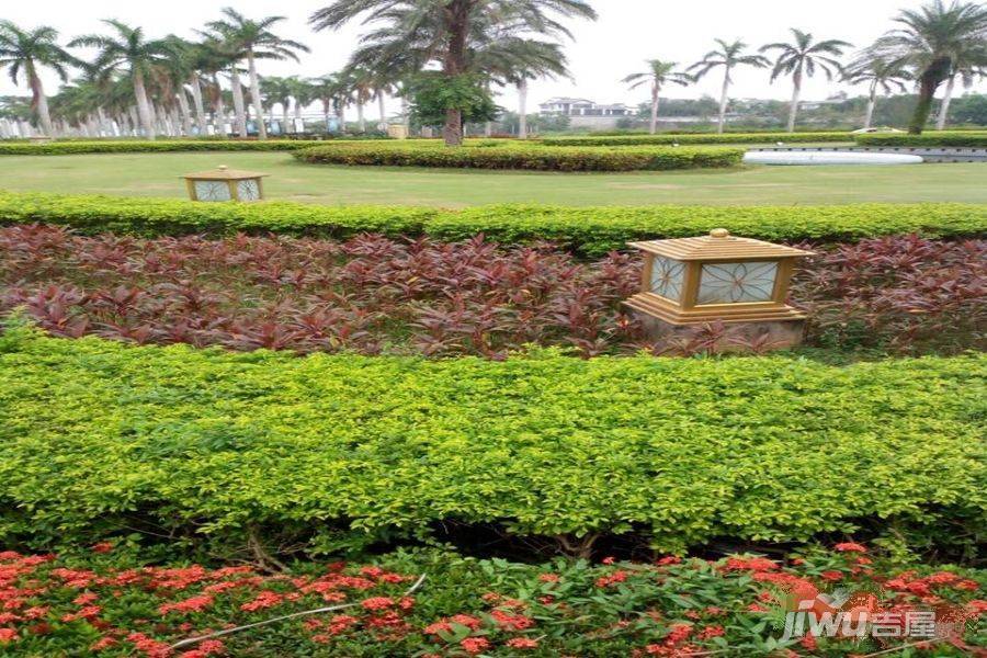 美视五月花滨海花园实景图图片