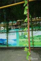 椰海新城三期·棕榈园实景图图片