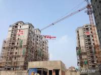 御山雅苑实景图3