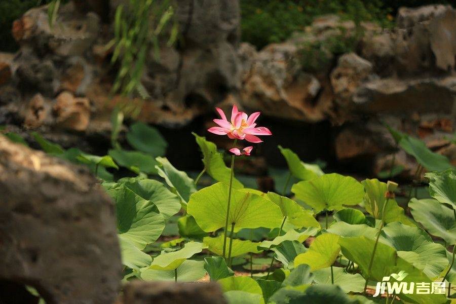 昊业忆江南实景图图片