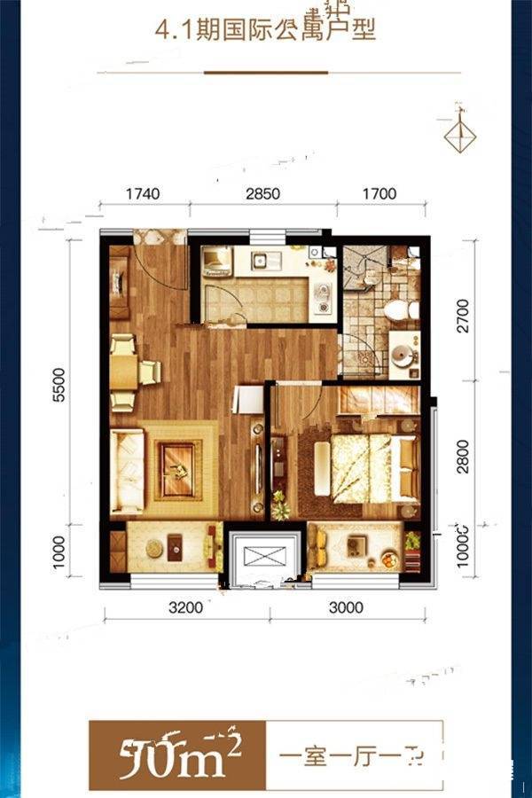 温泉新都孔雀城1室1厅1卫50㎡户型图