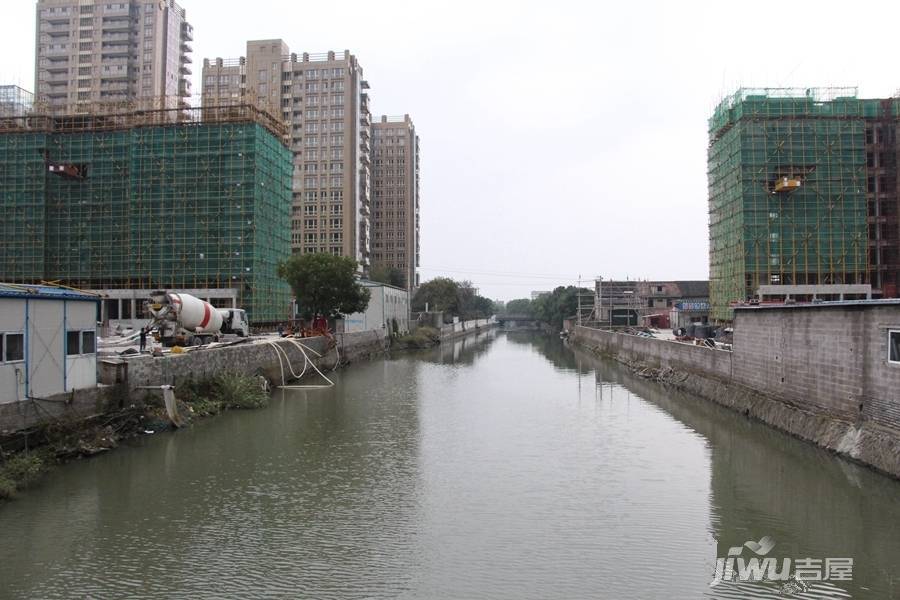 宏泰风花树实景图图片