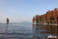 翠湖香堤实景图图片