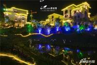 陆河碧桂园实景图图片
