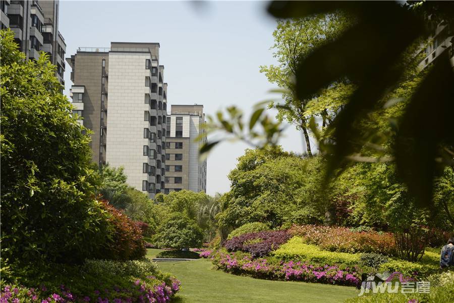 高科荣域实景图图片