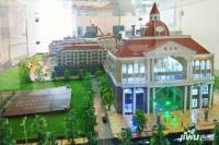 阿尔山市泉城美景中心商业街实景图图片