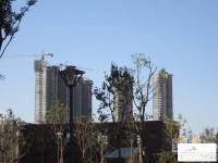 高科绿水东城实景图图片