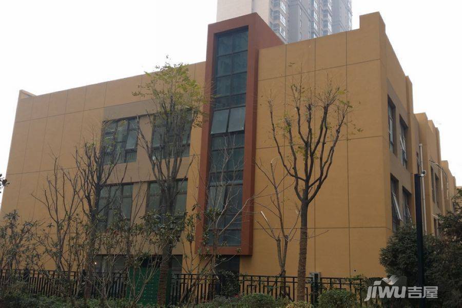 白桦林·印象配套图图片