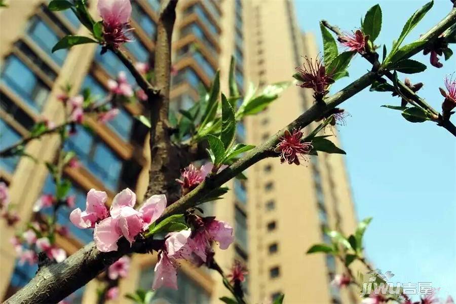 铭城国际社区实景图图片