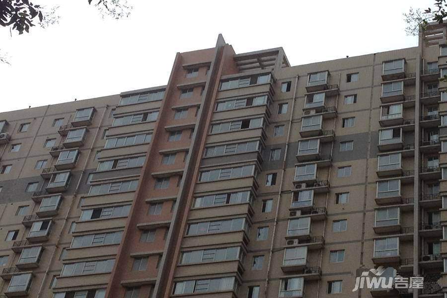 西安印象实景图图片